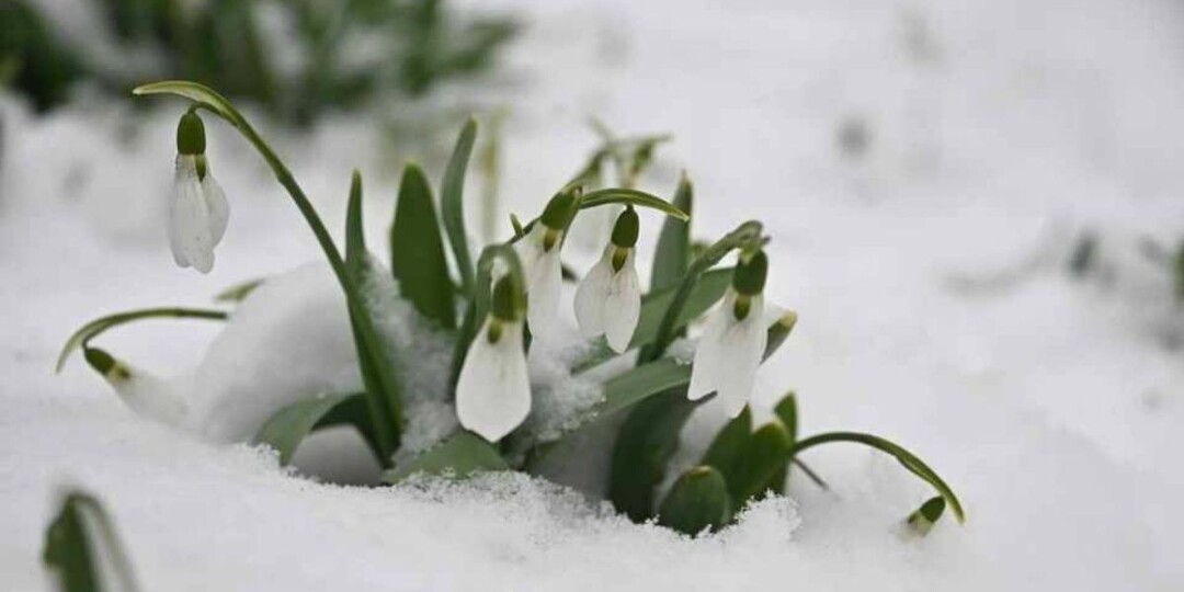 Жителей Новосибирской области ждёт резкое потепление к концу недели