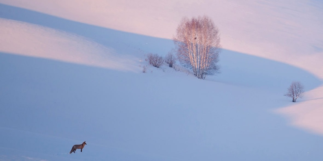 ☺️ Вот он, алтайский минимализм