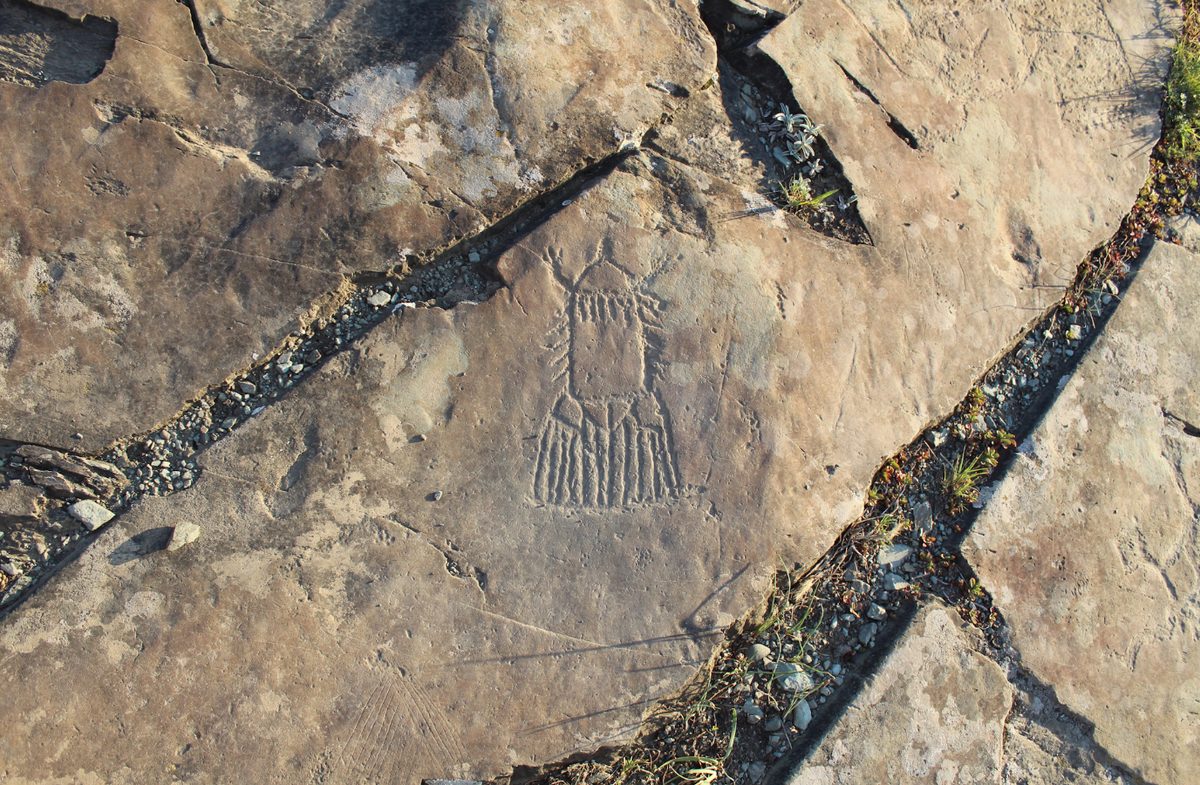 Очень похоже на летящую ракету. (Фото: a.d-cd.net).