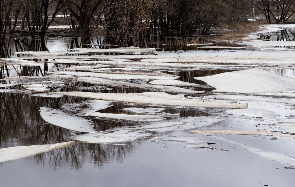 Фото: Андрей Зубов/РИА Верхневолжье
