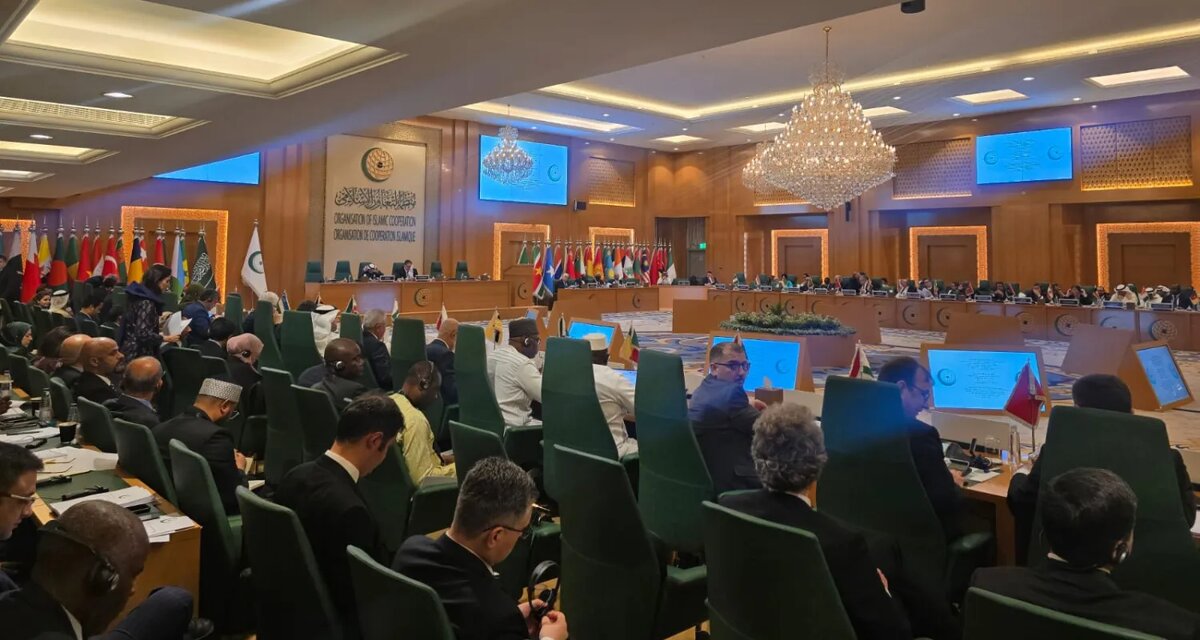    Цветокоррекция оригинального изображения была произведена с использованием ИИ "Ниязов 2.0"