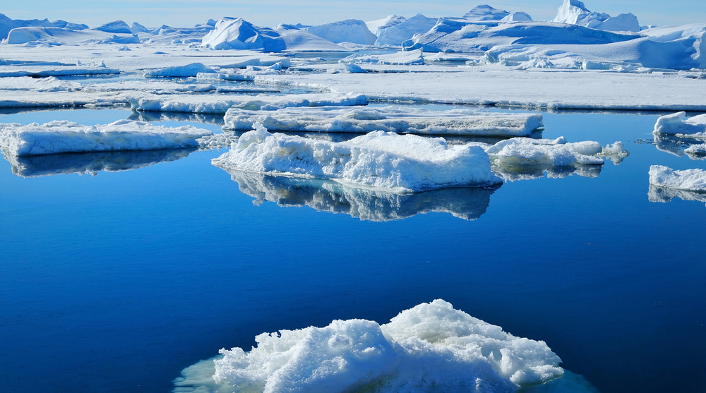     Фото: Evgeny Kovalev spb/Shutterstock/FOTODOM