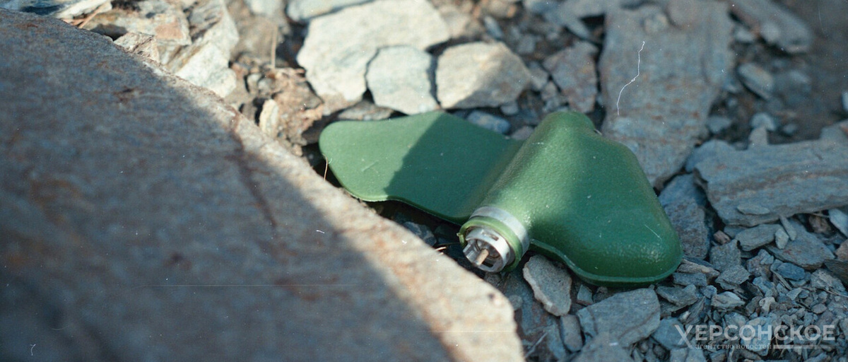    Фото: Херсонское агентство новостей