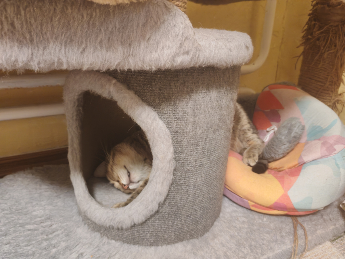 Будьте счастливы! 