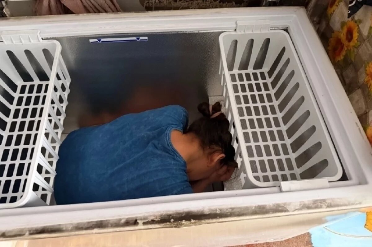    В Башкортостане должница по алиментам спряталась от приставов в морозилке