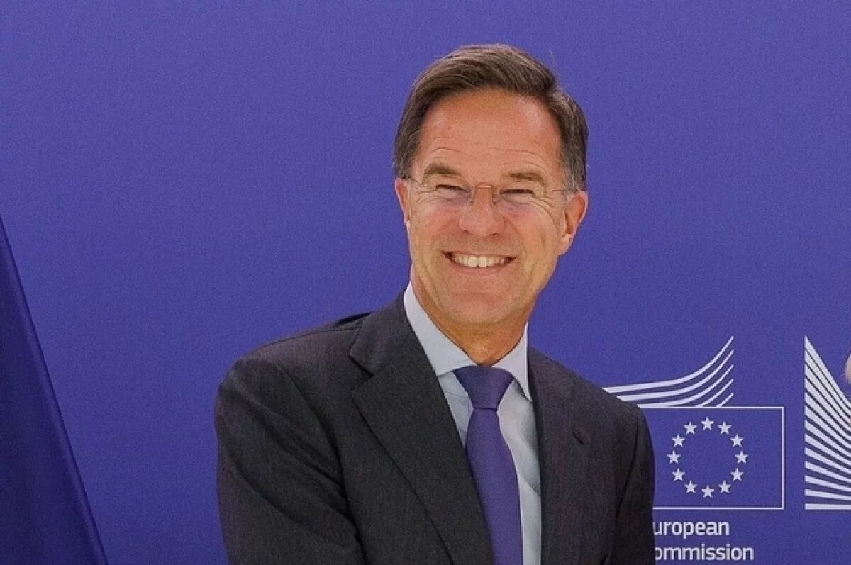    Карасин назвал наглостью заявление Рютте о контингенте НАТО на Украине