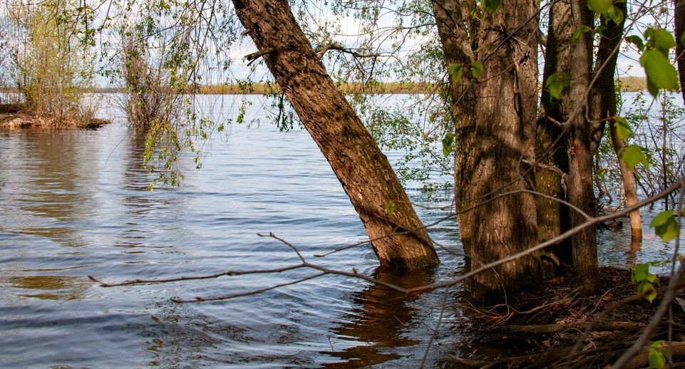    Svetlana Vozmilova/Global Look Press / www.globallookpress.com