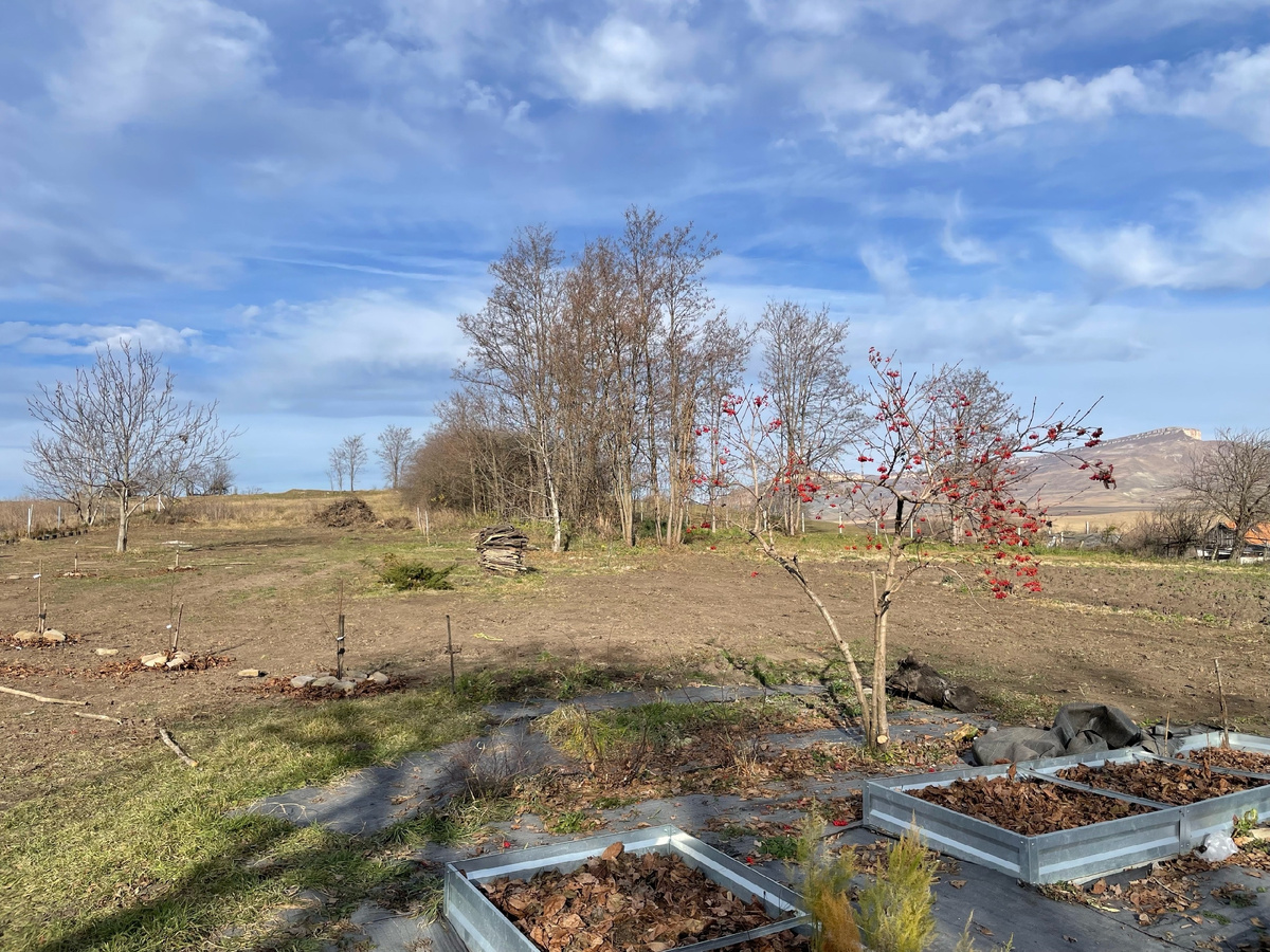 Автор фото Елена Якимова / Greenfingers