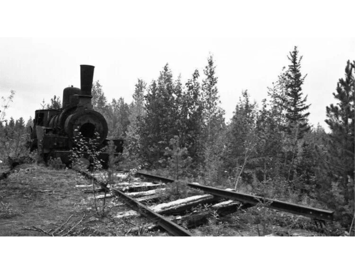 Едет, едет...