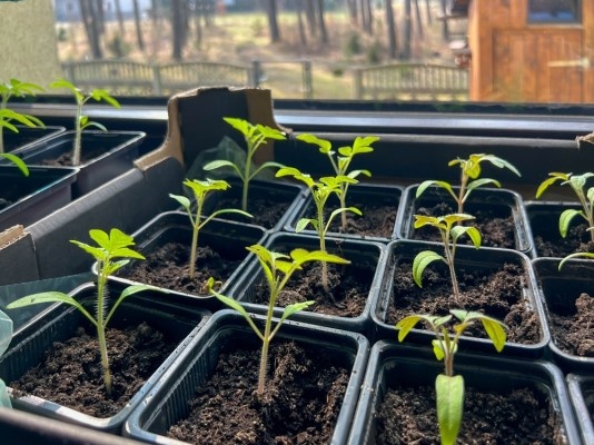 Источник фото shutterstock.com