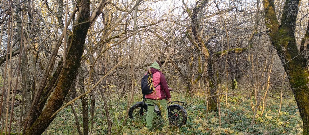 После 35–40 лет кости и мышцы начинают терять плотность. Чтобы этого избежать, нужны не просто кардионагрузки, а именно силовые, те, где вы несёте свой вес и преодолеваете сопротивление. Женщинам это особенно важно.