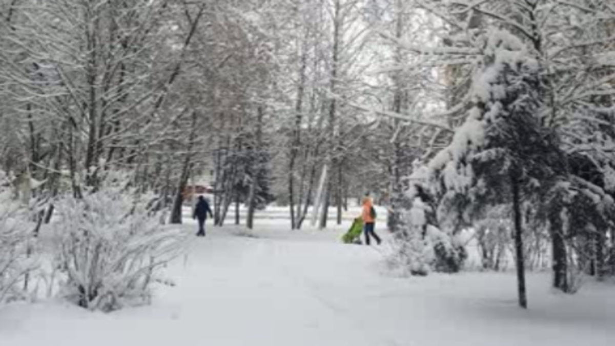    Как минимум пять человек уже обратились за помощью к медикам из-за обморожения в Курске