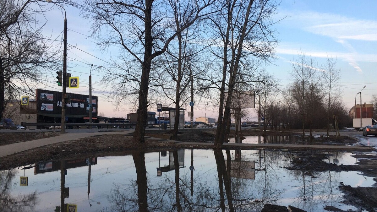    Синоптики спрогнозировали резкое потепление в Ростове   1MI