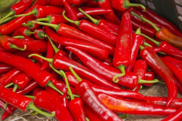 Источник фото shutterstock.com