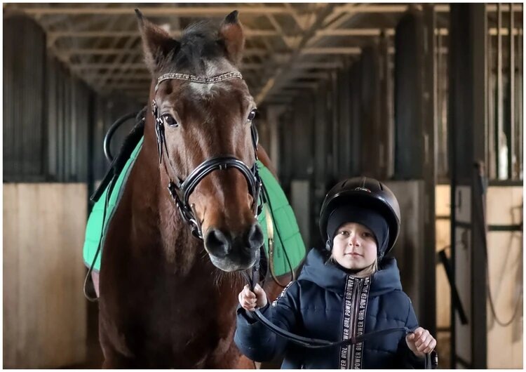 Соня и конь Мотив