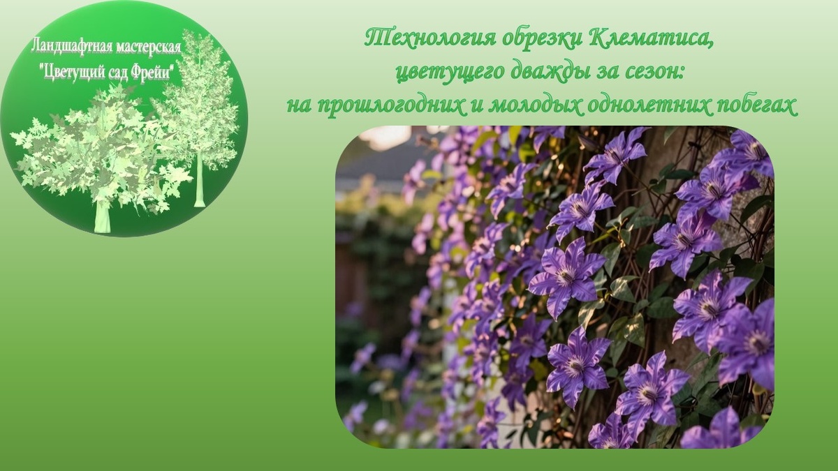 Фото автора с использованием изображения созданного ИИ