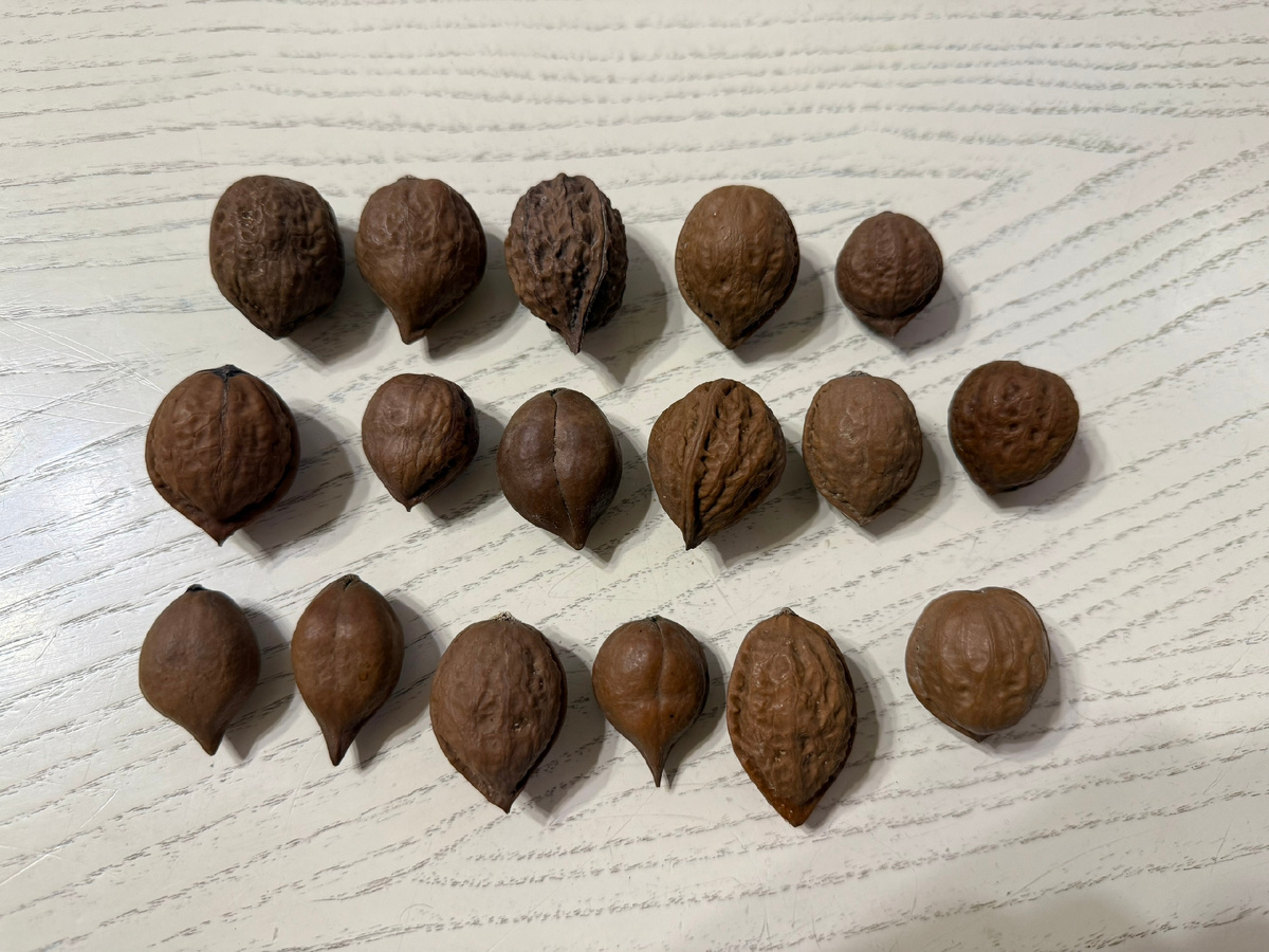 Фото: Татьяна Крымская 