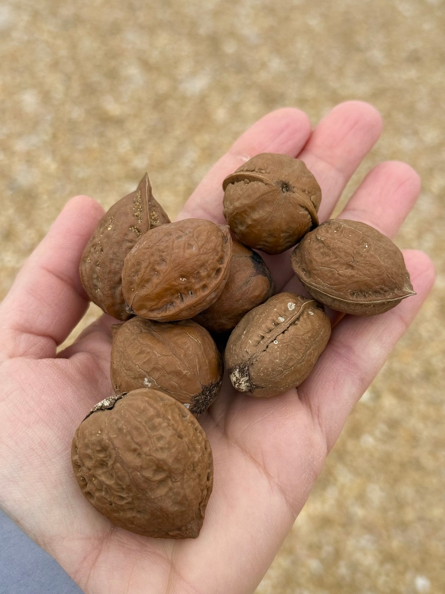 Фото: Татьяна Крымская 