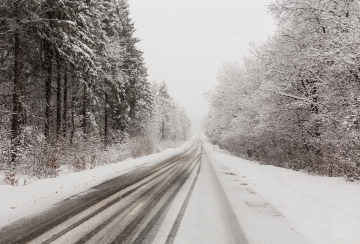 фото: pxhere.com