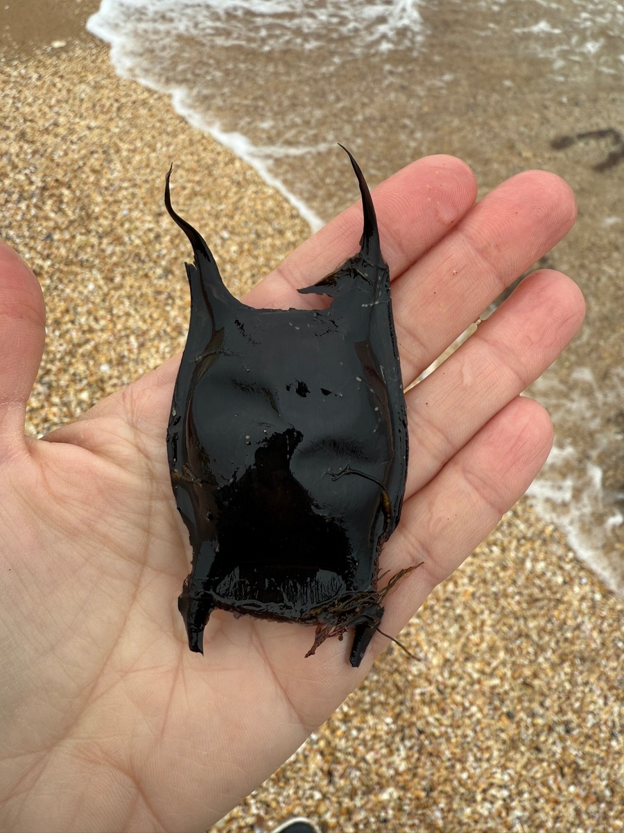 Фото: Татьяна Крымская 