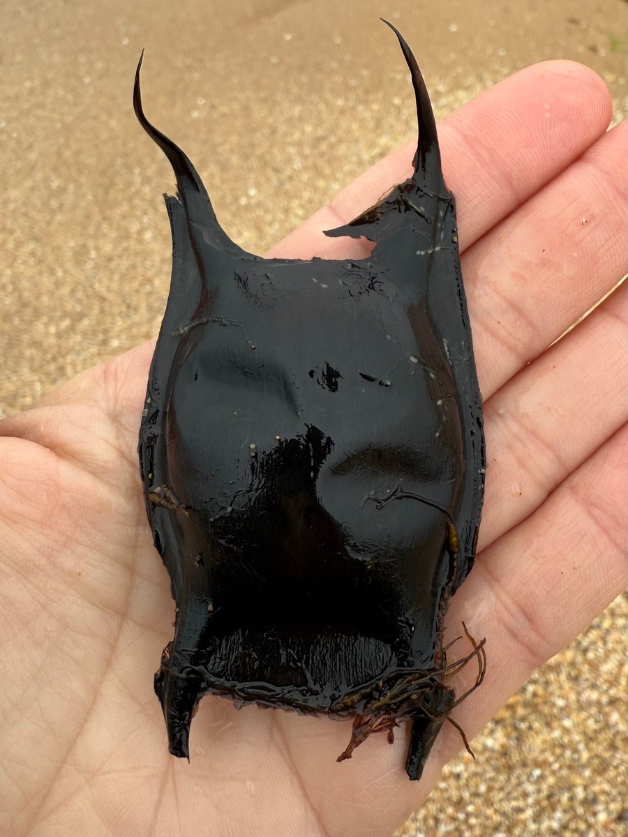 Фото: Татьяна Крымская 