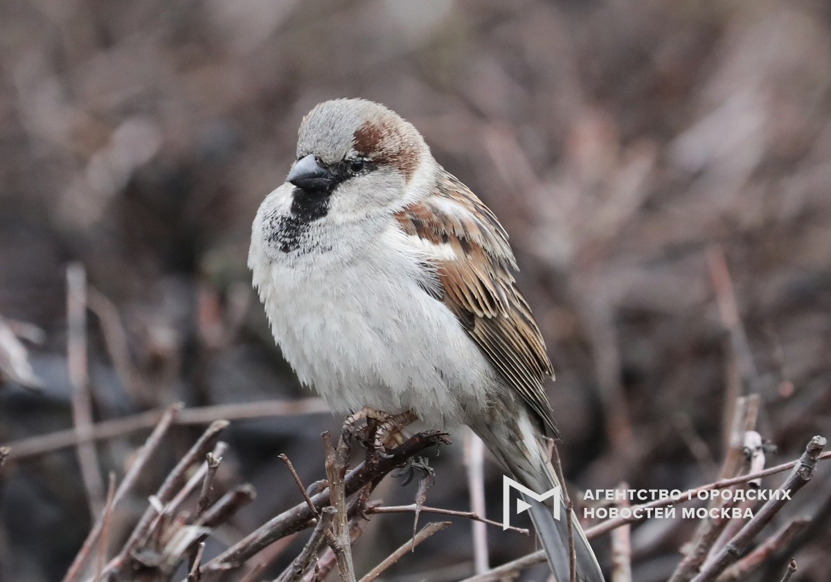Фотограф: Софья Сандурская