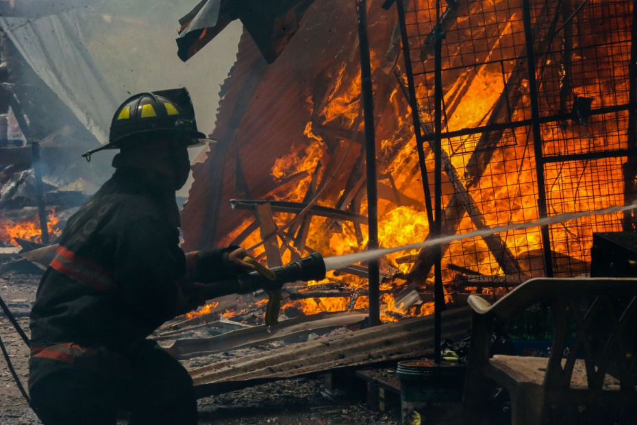    ROUELLE UMALI/XinHua/Global Look Press