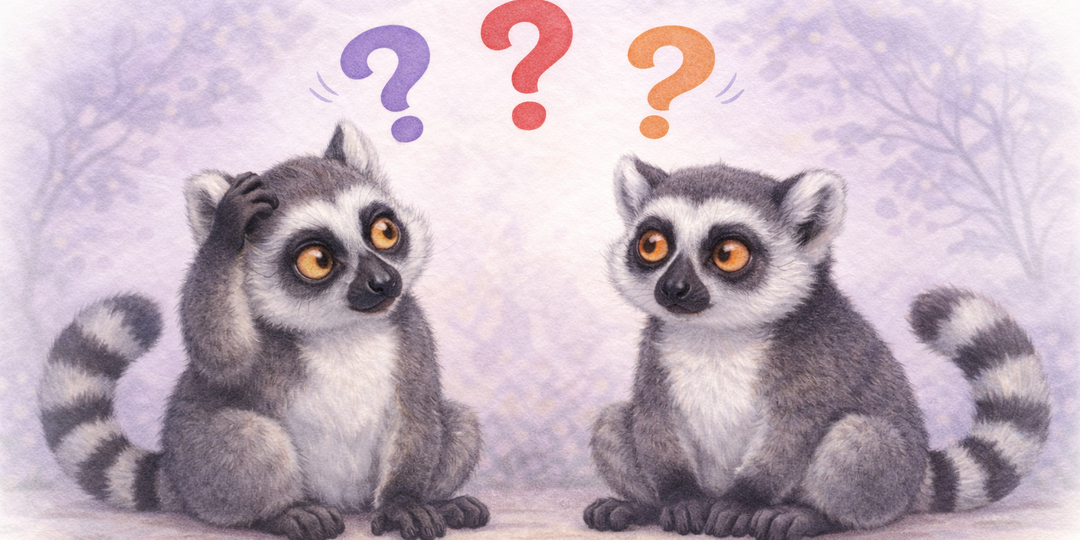 Можно ли влюбиться за 45 минут и 36 вопросов? Эксперимент Артура Арона