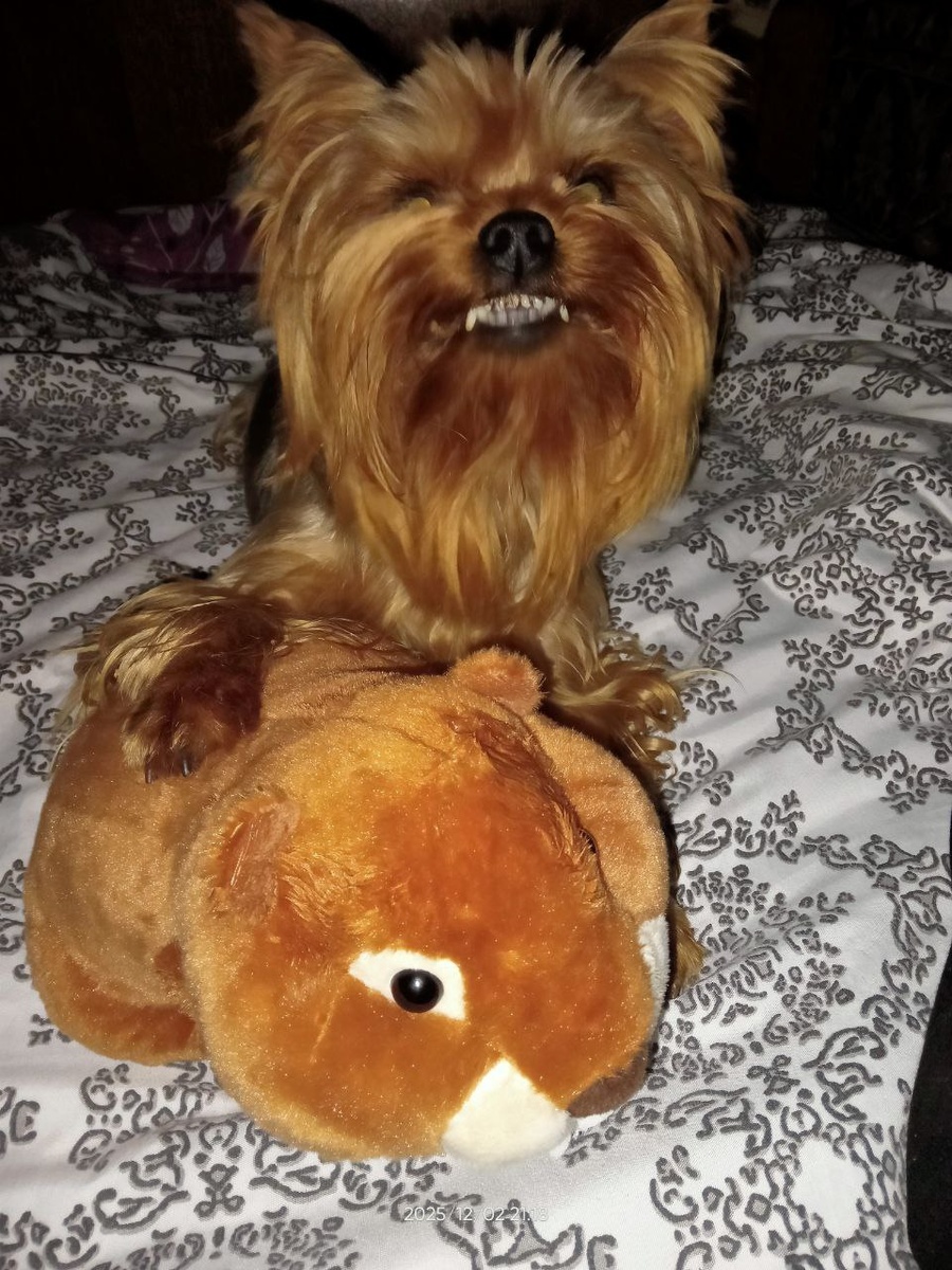 По фото сразу видно характер, правда?