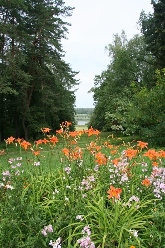 Природа музея-усадьбы. Фото с официального сайта Государственного мемориального историко-художественного и природного музея-заповедника В.Д. Поленова 