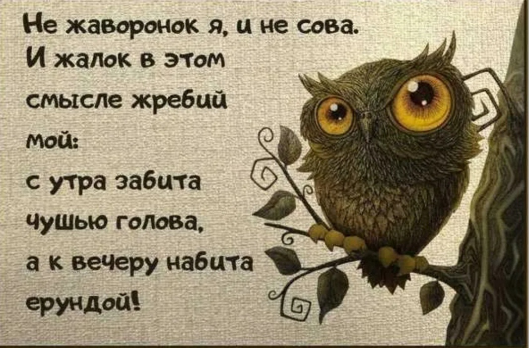 Вот-вот, забита чушью голова😅. 