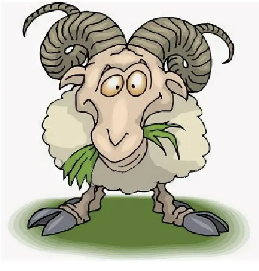 Примерно зверь был такого же вида😅