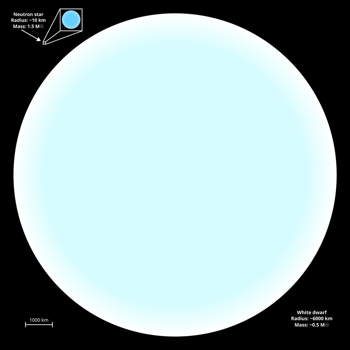 Иллюстрация сравнение размеров нейтронной звезды и Белого Карлика. Источник: wikimwdia