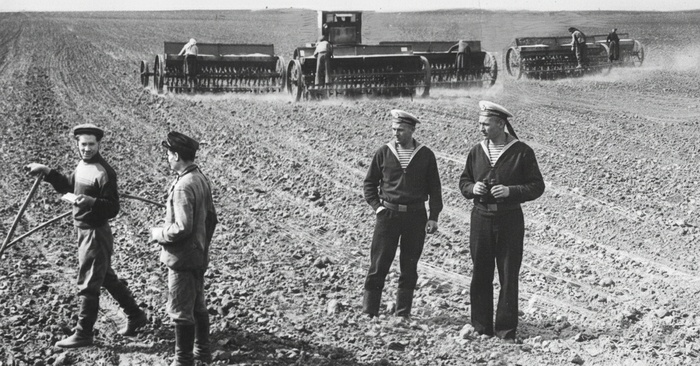 Зачем моряков посылали на целину? Исповедь мичмана Зуева