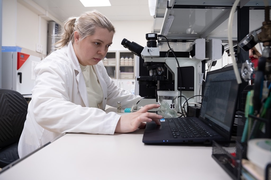 Заведующая молодёжной лабораторией БИ ТГУ Анастасия Лукина