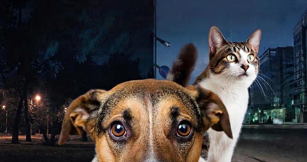 Обоняние, предсказывающее беду: когда нос – лучший диагност