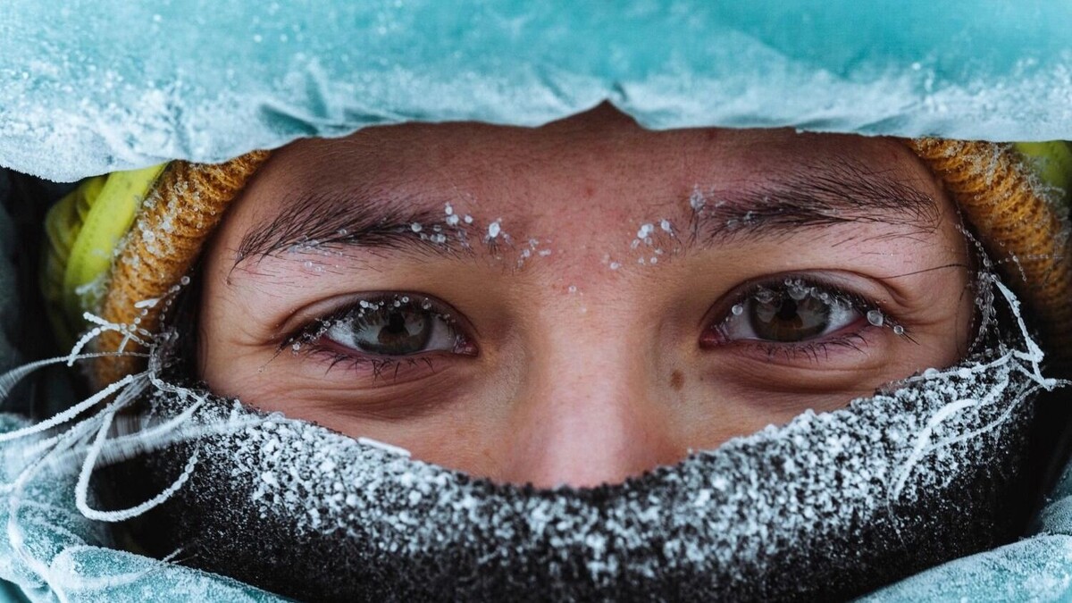    Морозы в Ростовской области достигли критических показателей   rawpixel.com/freepik