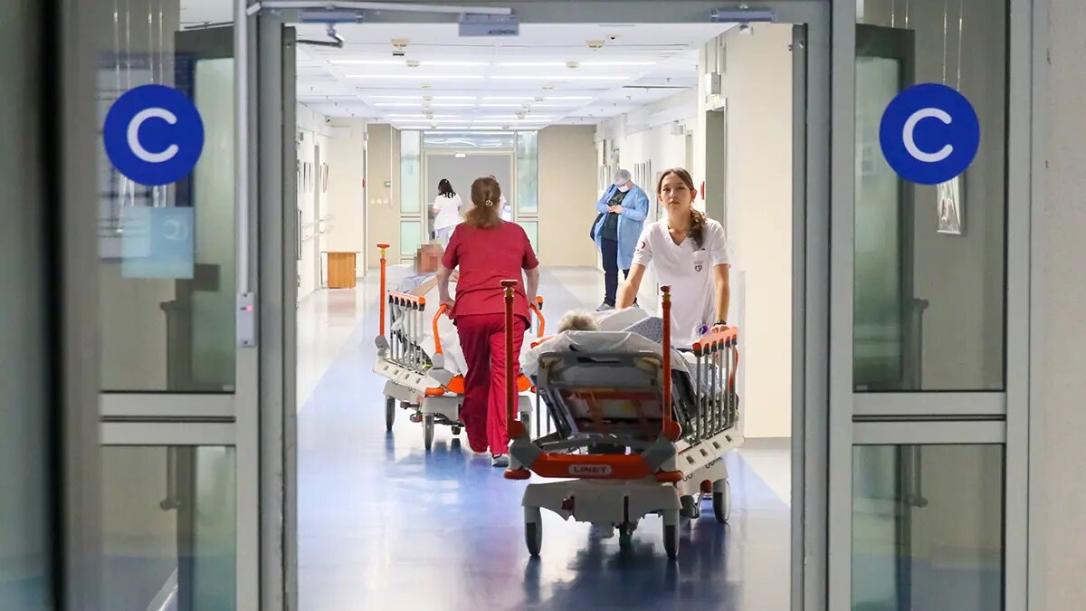    Фото: vm.ru Артем Назаров