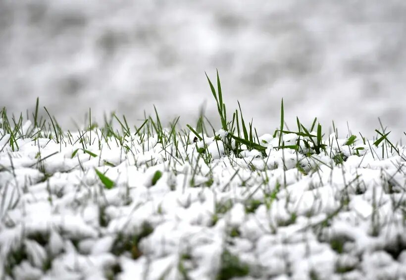     © РИА Новости. Максим Богодвид