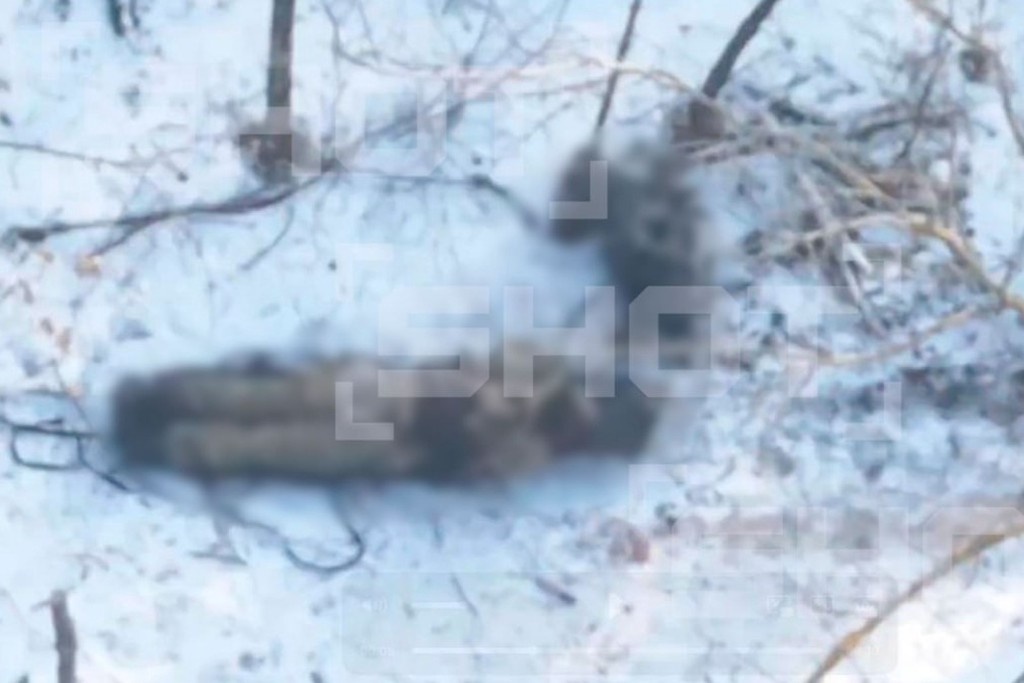    Фото © Telegram / SHOT