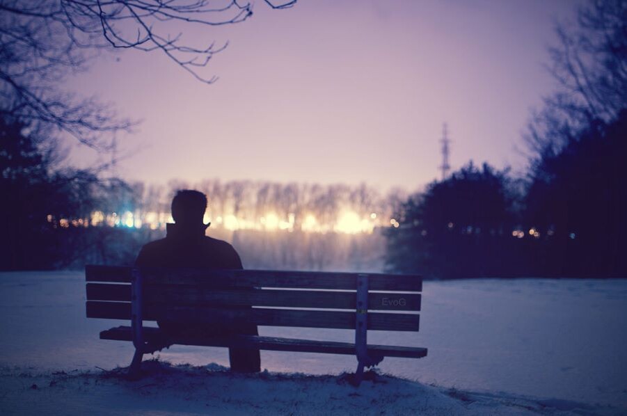 Яндекс Картинки