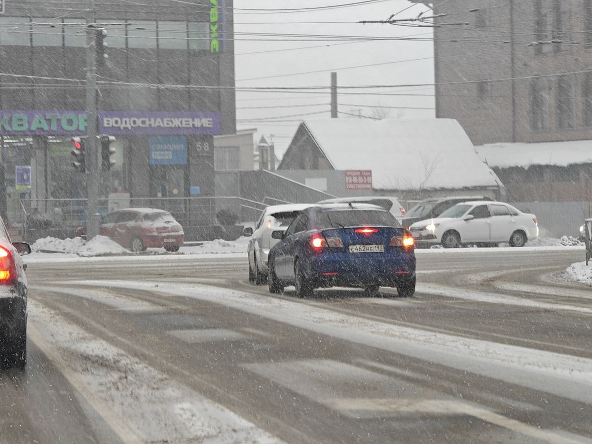    Фото: Юрий Серебренников/BFM Кубань