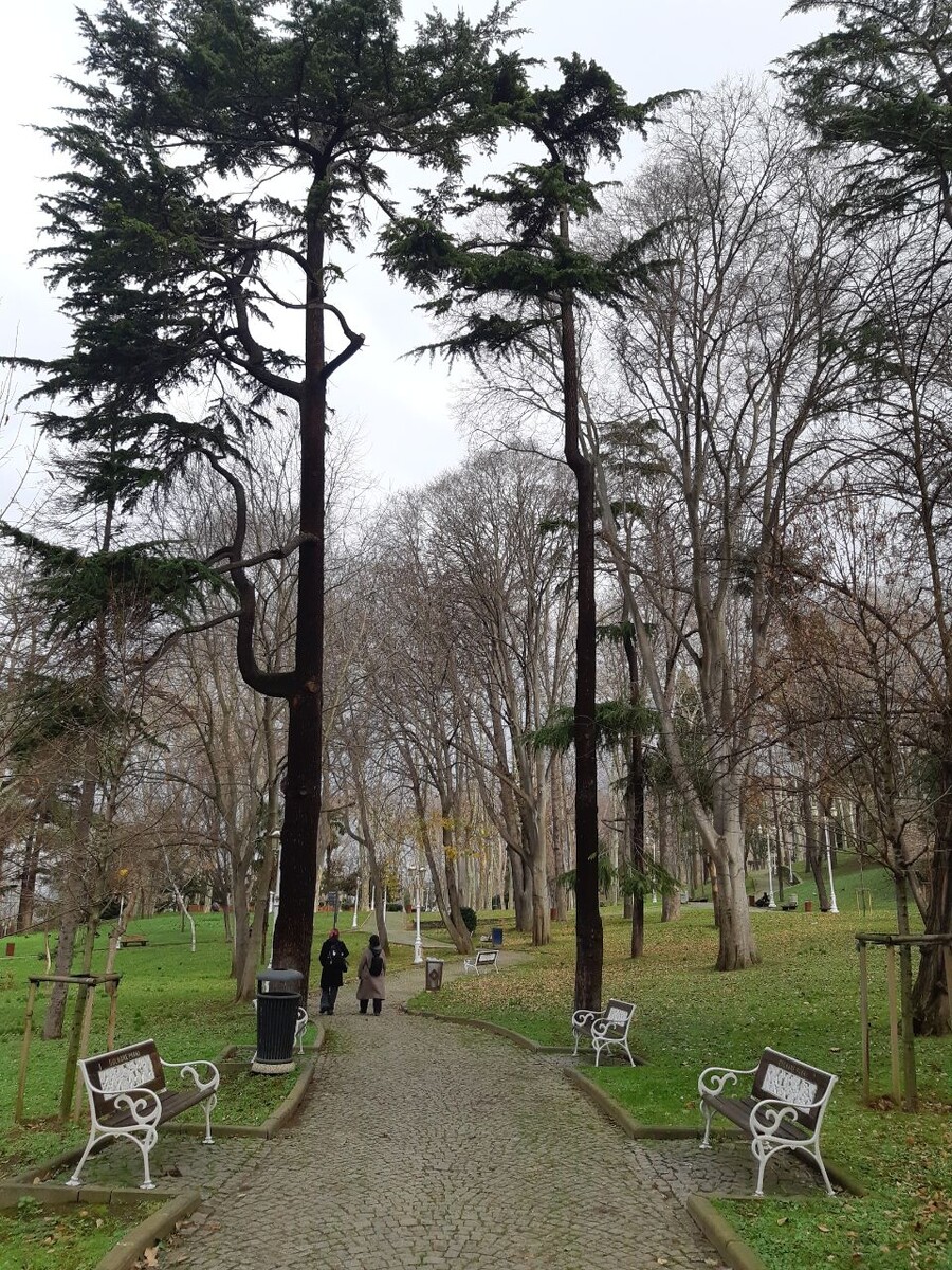 парк Гюльхане в январе