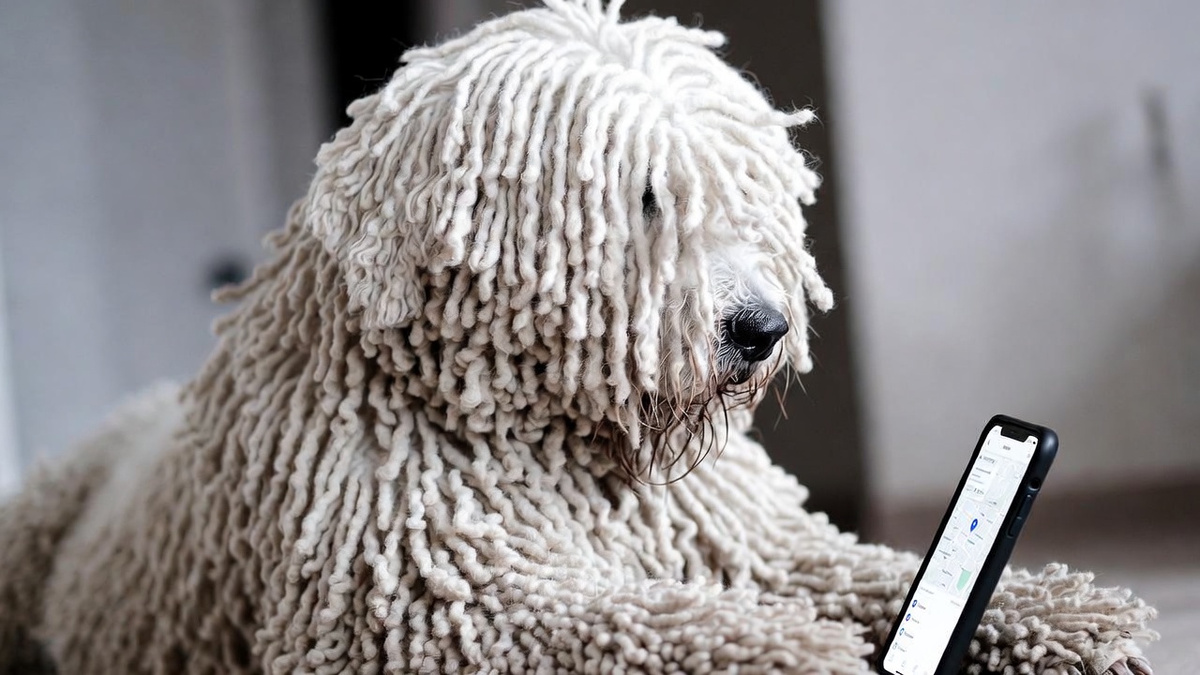 Сгенерировано нейросетью Grok  📷
