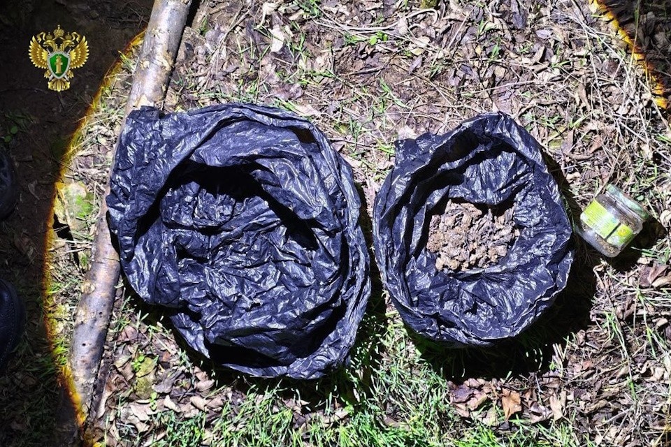    Жителю Ивановки грозит до 10 лет за наркотики Фото: прокуратура ХО