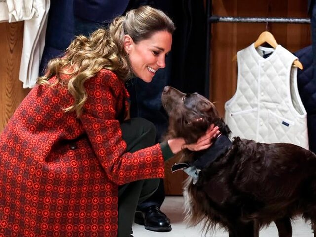    Фото: instagram.com (принадлежит Meta, признана экстремистской и запрещена на территории РФ)/princeandprincessofwales