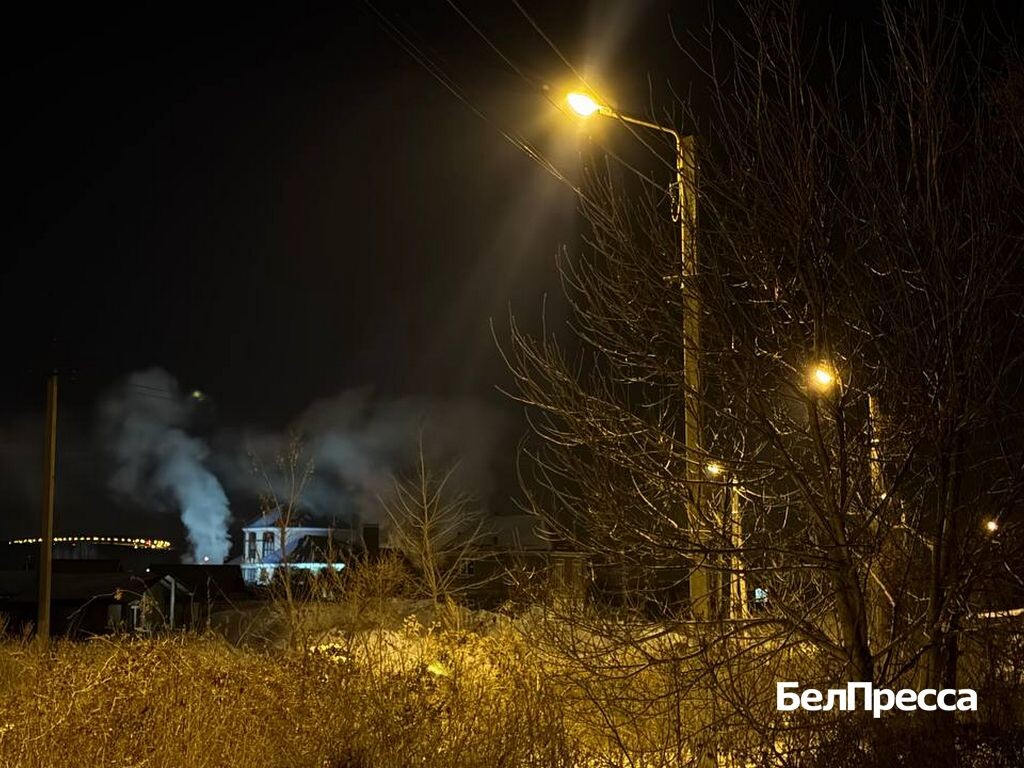     Фото: Елена Журавлёва