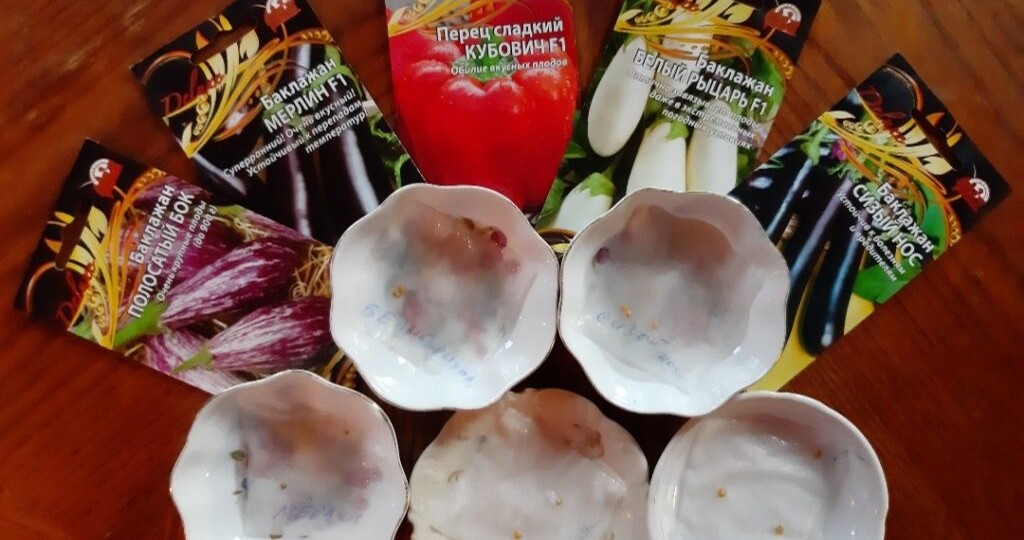 Благоприятные дни для посева рассады в феврале 2026