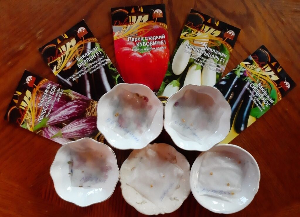  Сажаем баклажаны и перцы