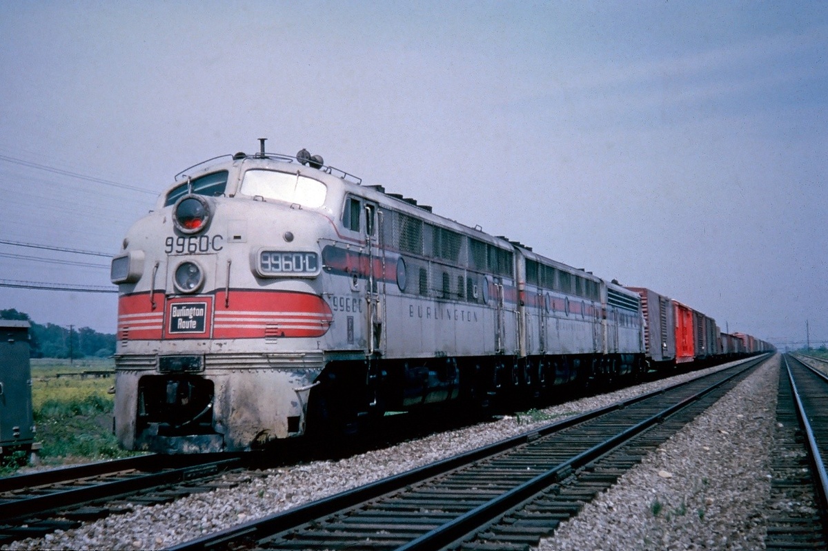 Картинки Яндекса